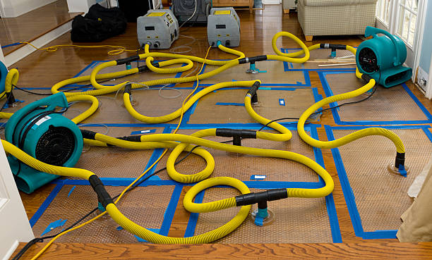 Professional Burst Pipe Water Damage technician working in Candia, NH